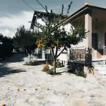 Nymphes *