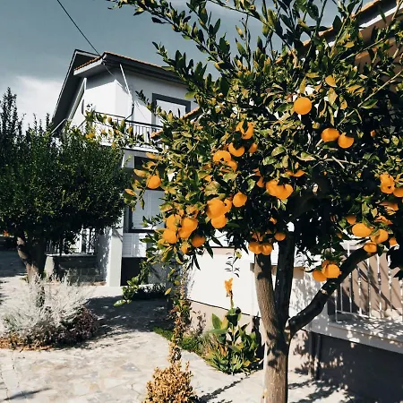 Nymphes Szelianítika