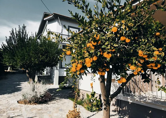 Nymphes Szelianítika